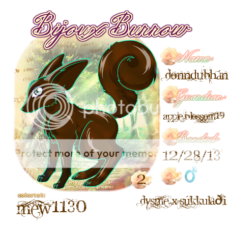 User Image